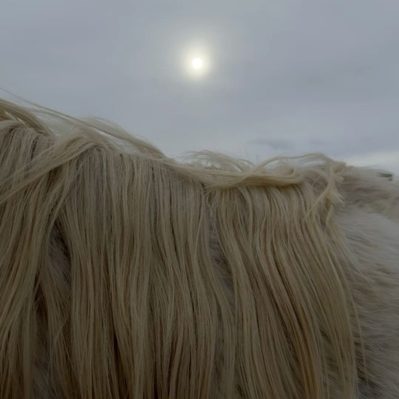 Mood - Picture 6 of 6